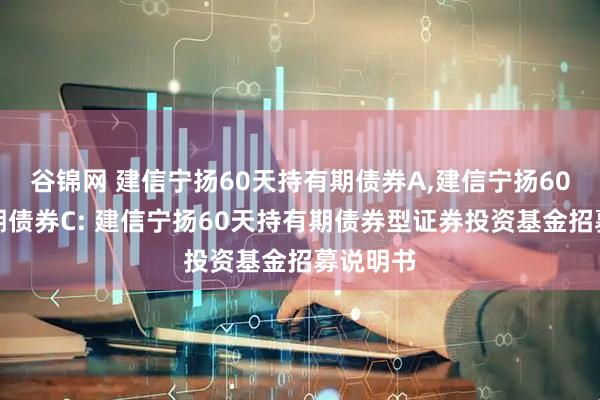 谷锦网 建信宁扬60天持有期债券A,建信宁扬60天持有期债券C: 建信宁扬60天持有期债券型证券投资基金招募说明书