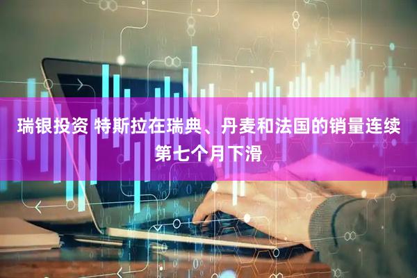 瑞银投资 特斯拉在瑞典、丹麦和法国的销量连续第七个月下滑