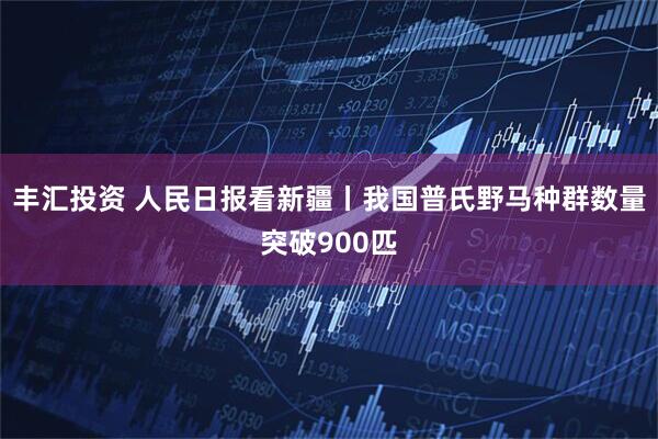 丰汇投资 人民日报看新疆丨我国普氏野马种群数量突破900匹
