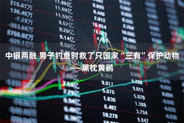中银两融 男子钓鱼时救了只国家“三有”保护动物——黑枕黄鹂