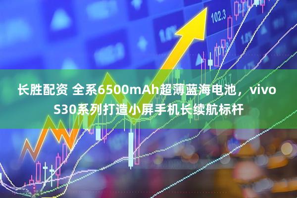 长胜配资 全系6500mAh超薄蓝海电池，vivo S30系列打造小屏手机长续航标杆